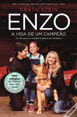 Capa do artigo Enzo