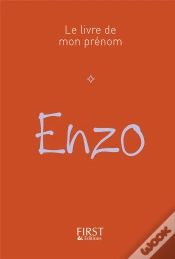 Capa do artigo Enzo