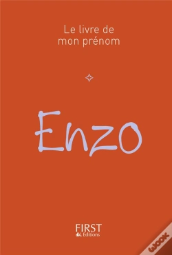 Capa do artigo Enzo