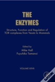 Capa do artigo Enzymes