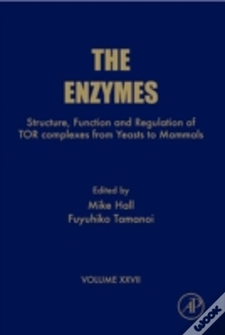 Capa do artigo Enzymes