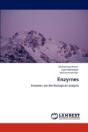 Enzymes - Preview