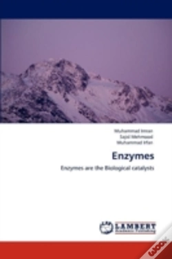 Capa do artigo Enzymes