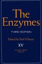 Enzymes - Preview