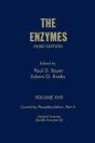 Enzymes - Preview