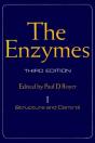 Enzymes - Preview