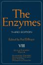 Enzymes - Preview