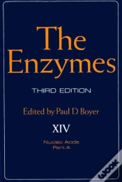 Capa do artigo Enzymes
