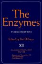 Enzymes - Preview