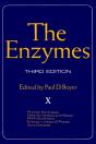 Enzymes - Preview