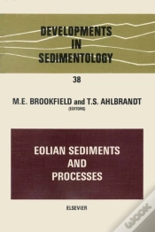 Capa do artigo Eolian Sediments And Processes