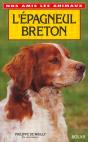 Epagneul Breton - Preview