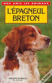 Epagneul Breton