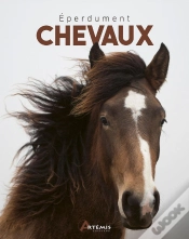 Capa do artigo Éperdument Chevaux