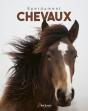Éperdument Chevaux - Preview