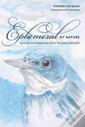 Capa do artigo Ephemeral By Nature