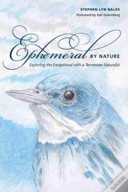 Capa do artigo Ephemeral By Nature
