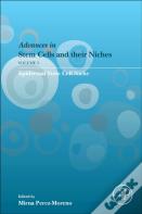 Epidermal Stem Cell Niche