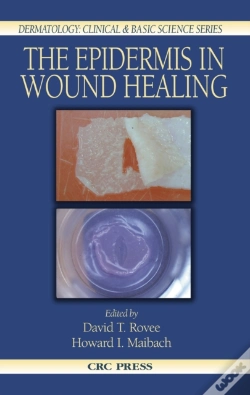 Capa do artigo Epidermis In Wound Healing