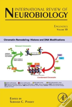 Capa do artigo Epigenetics
