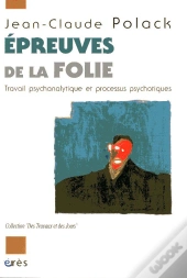 Epreuves De La Folie ; Travail Psychanalytique Et Processus Psychotiques