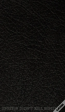 Capa do artigo Epstein Didn'T Kill Himself Notebook