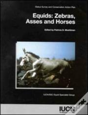 Equids