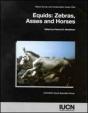 Equids - Preview