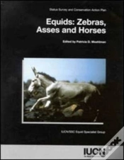 Capa do artigo Equids