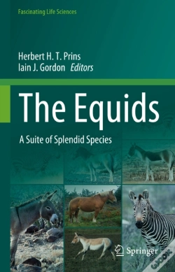 Capa do artigo Equids