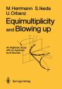 Equimultiplicity And Blowing Up - Preview