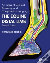 Capa do artigo Equine Distal Limb