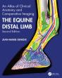 Equine Distal Limb - Preview