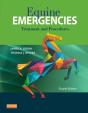 Equine Emergencies E-Book - Preview