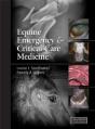 Equine Emergency And Critical Care Medicine - Preview