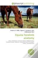 Equine Forelimb Anatomy