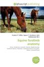 Equine Forelimb Anatomy - Preview