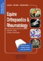 Equine Orthopaedics And Rheumatology - Preview