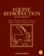 Equine Reproduction - Preview