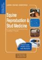 Equine Reproduction & Stud Medicine - Preview