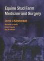 Equine Stud Farm Medicine & Surgery E-Book - Preview