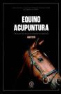 Equino Acupuntura - Preview