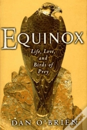 Capa do artigo Equinox