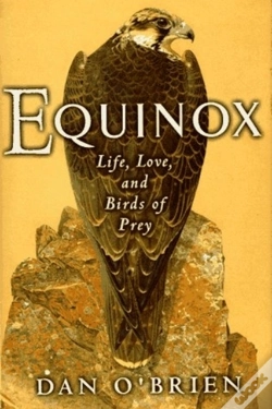 Capa do artigo Equinox