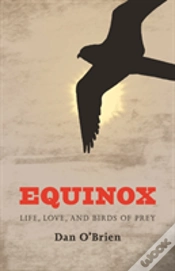 Capa do artigo Equinox