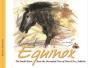 Equinox - Petit Cheval De La Grotte Ornee Du Pont D'Arc, Ardeche - Preview