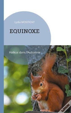 Capa do artigo Equinoxe - Haikus Dans L Automne