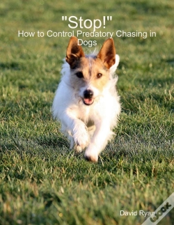 Capa do artigo &Quote;Stop!&Quote;: How To Control Predatory Chasing In Dogs