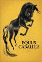 Equus Caballus - Preview