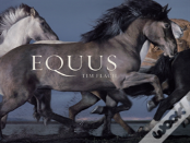 Equus